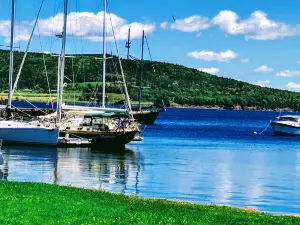 Amoeba Sailing Tours