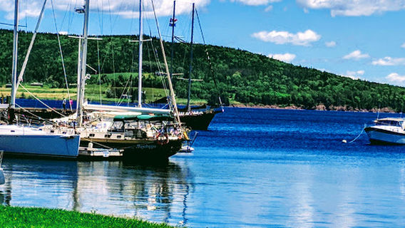 Amoeba Sailing Tours