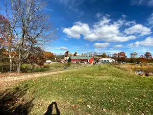 Meadow Ledge Farm