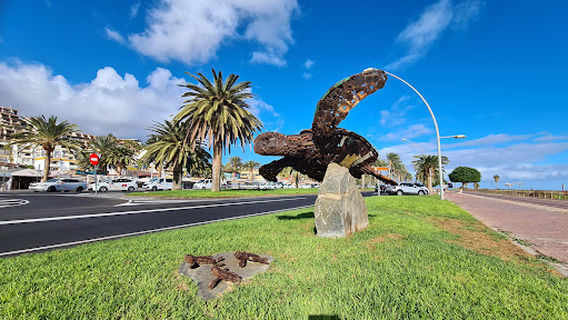 Skeleton of Sperm Whale