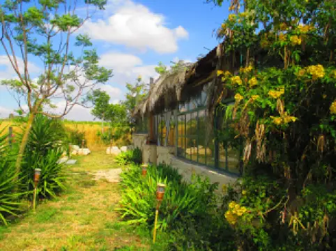 כפר נבון - Kfar Navon