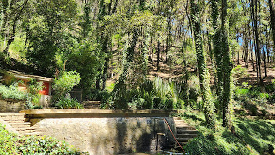 Fraccionamiento Bosques del Zumate