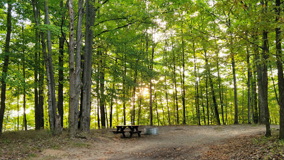 Lake Ann State Forest Campground