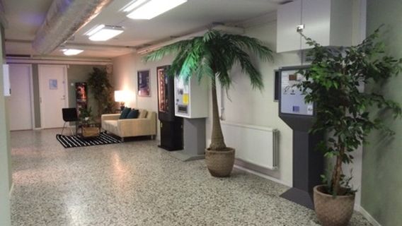 The new Open Sun