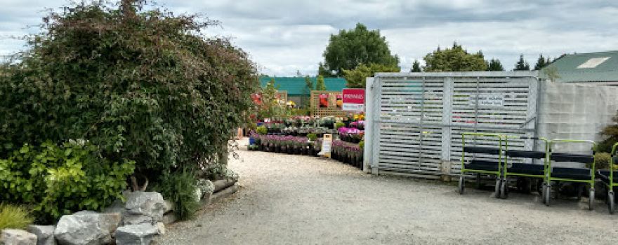 Place for Plants