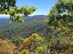 Woody Gap