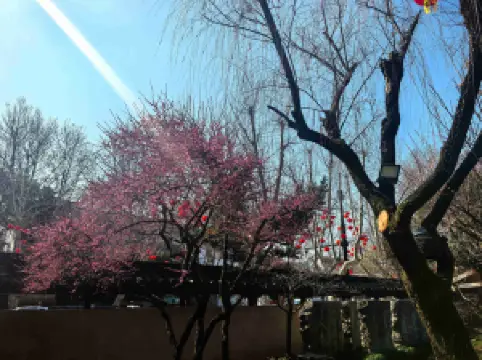 Top 10 Spring Outings in Shaoxing