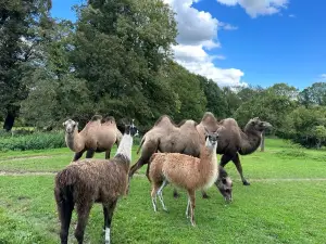Le parc du Yack Blanc