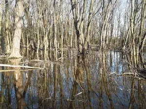 Lake Paradise