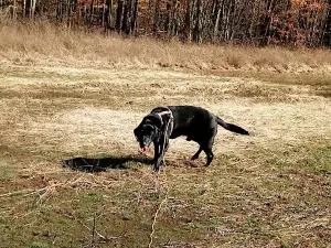 Indian Creek Wildlife Area