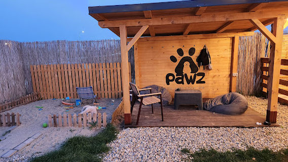 PAWZ - The Golden Retriever Land
