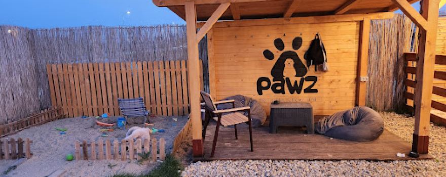 PAWZ - The Golden Retriever Land