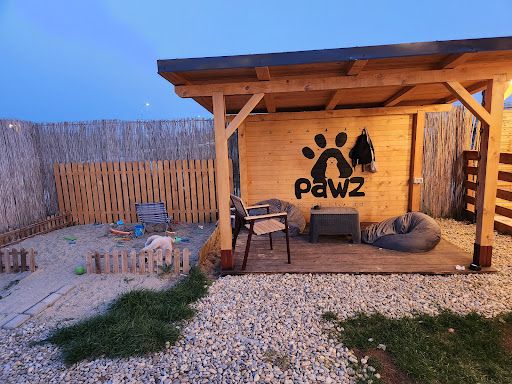 PAWZ - The Golden Retriever Land