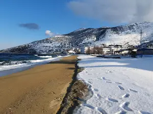 Çınarlı Köyü Meydanı
