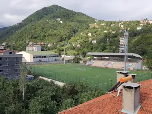 9 Haziran Statyumu