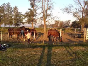 Parque Albarado