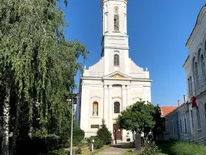 Spomenik prirode „Platan na Žitnom trgu“
