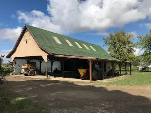 Mills Apple Farm