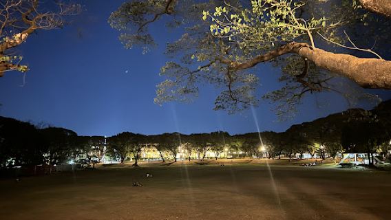 UP Sunken Garden