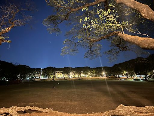 UP Sunken Garden
