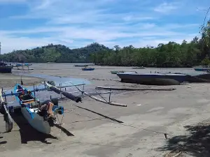 Pantai Saleo
