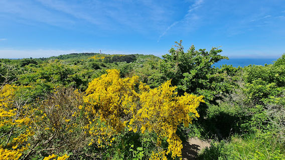 Aussichtspunkt beim Plateau