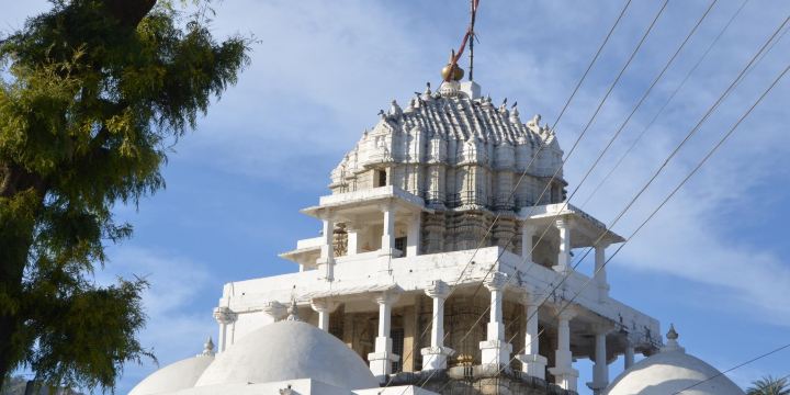 Delwara Jain Temple