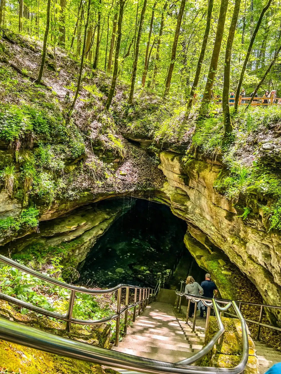 Hotels near Mammoth Cave