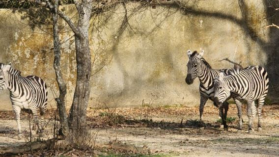 BREC's Baton Rouge Zoo