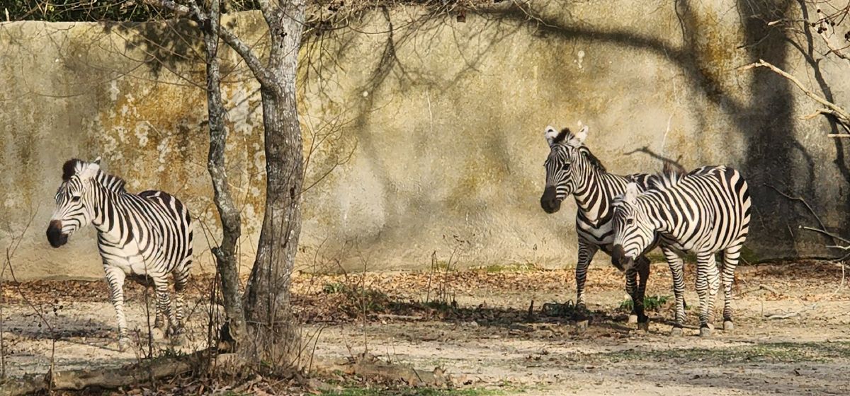 BREC's Baton Rouge Zoo