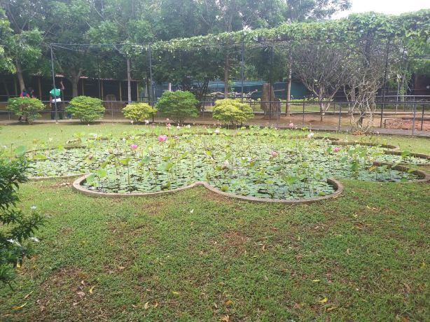 Birds Park & Birds Research Center - Hambantota