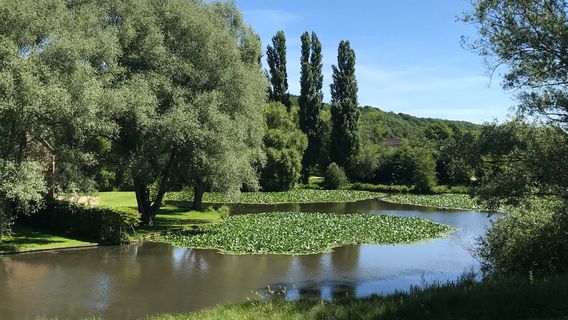 Park Rouelles (The Bouteillerie)