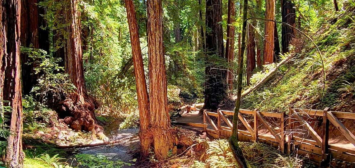 Guerneville Travel Guide 2026: Top Attractions, Things to do ...