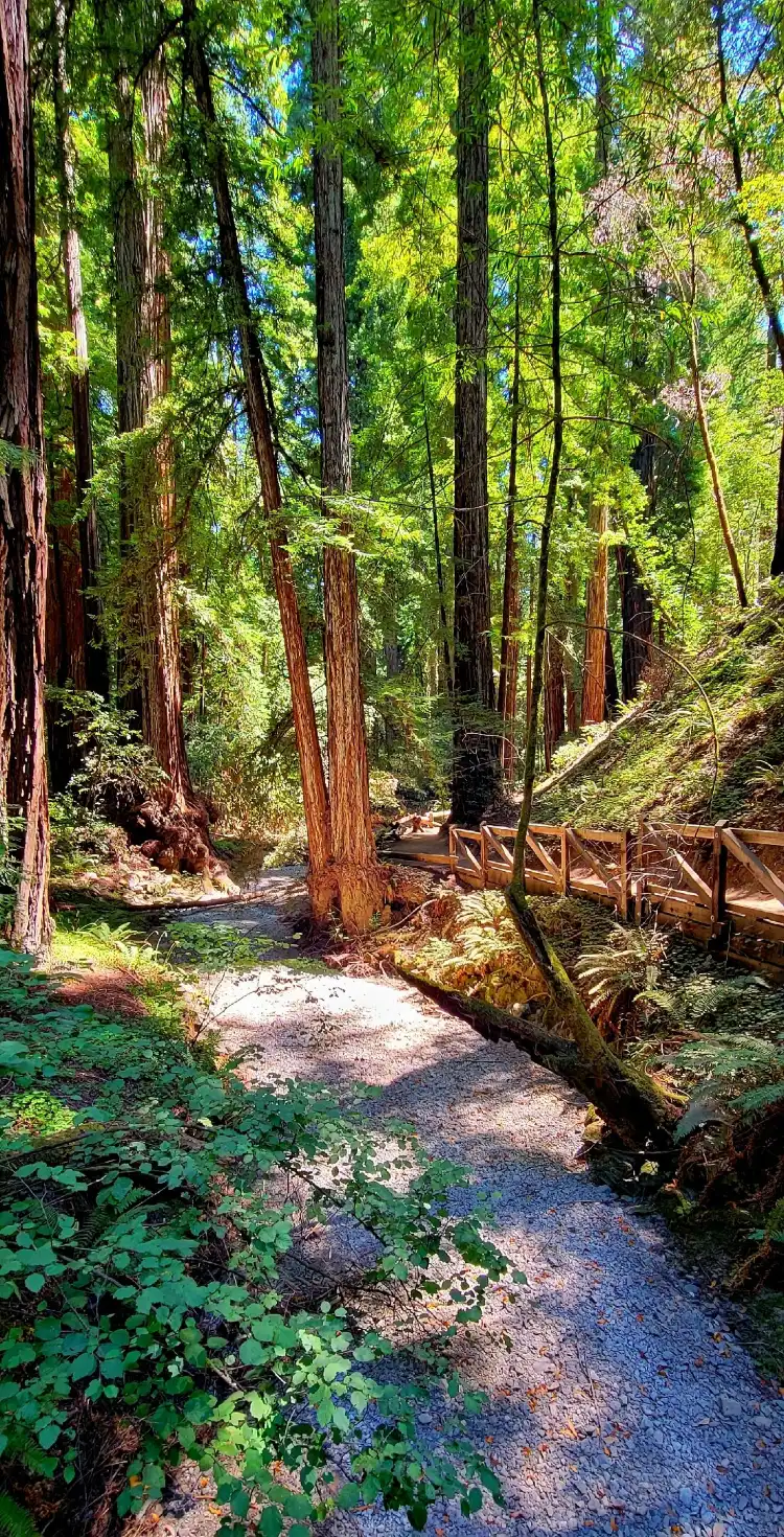 فنادق في Guerneville