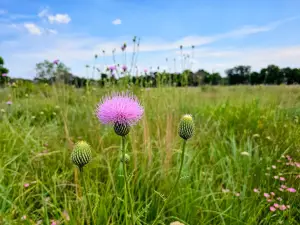 Fort Worth Nature Center & Refuge