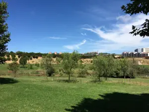 Parque da Paz