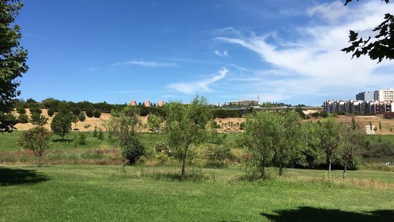 Parque da Paz