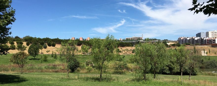 Parque da Paz