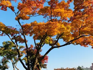Morioka-jo Castle Site Park (Iwate Park)