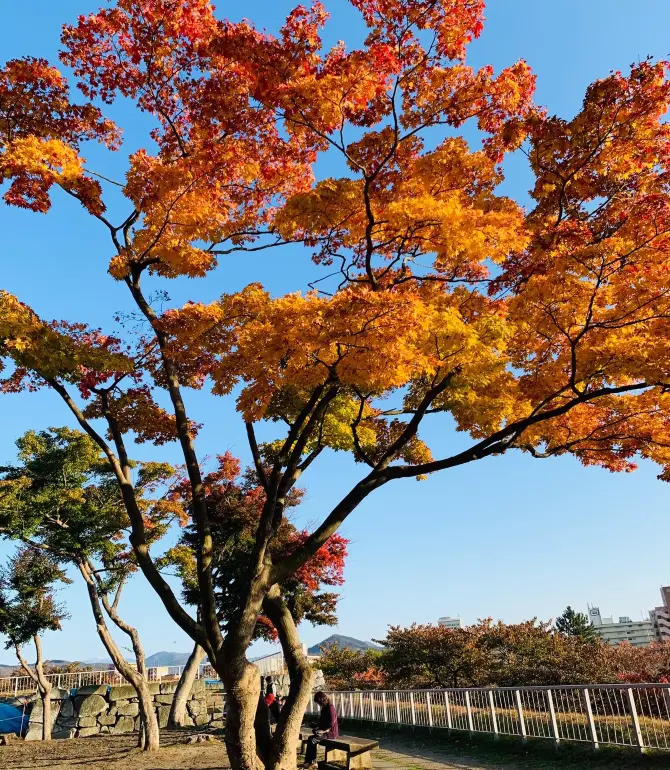 Morioka