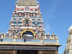 Arulmigu Vaithya Veeraraghava Perumal Temple, Thiruevvul (Thiruvallur)