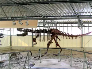 Dino Park