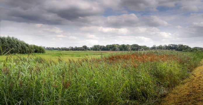 Bourgoyen-Ossemeersen