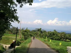 Kebun Teh Jamus (Lereng Gunung Lawu)