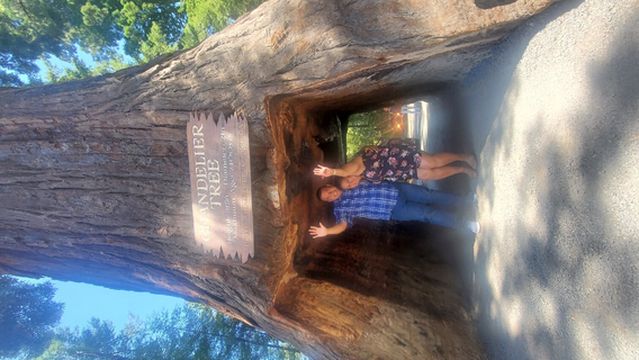 Drive-Thru Tree Park