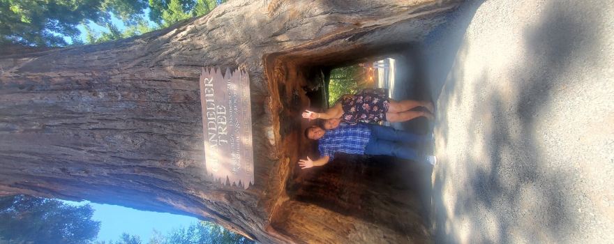 Drive-Thru Tree Park