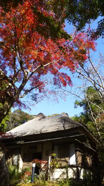 Hotels near Kinpozan Jochi-ji