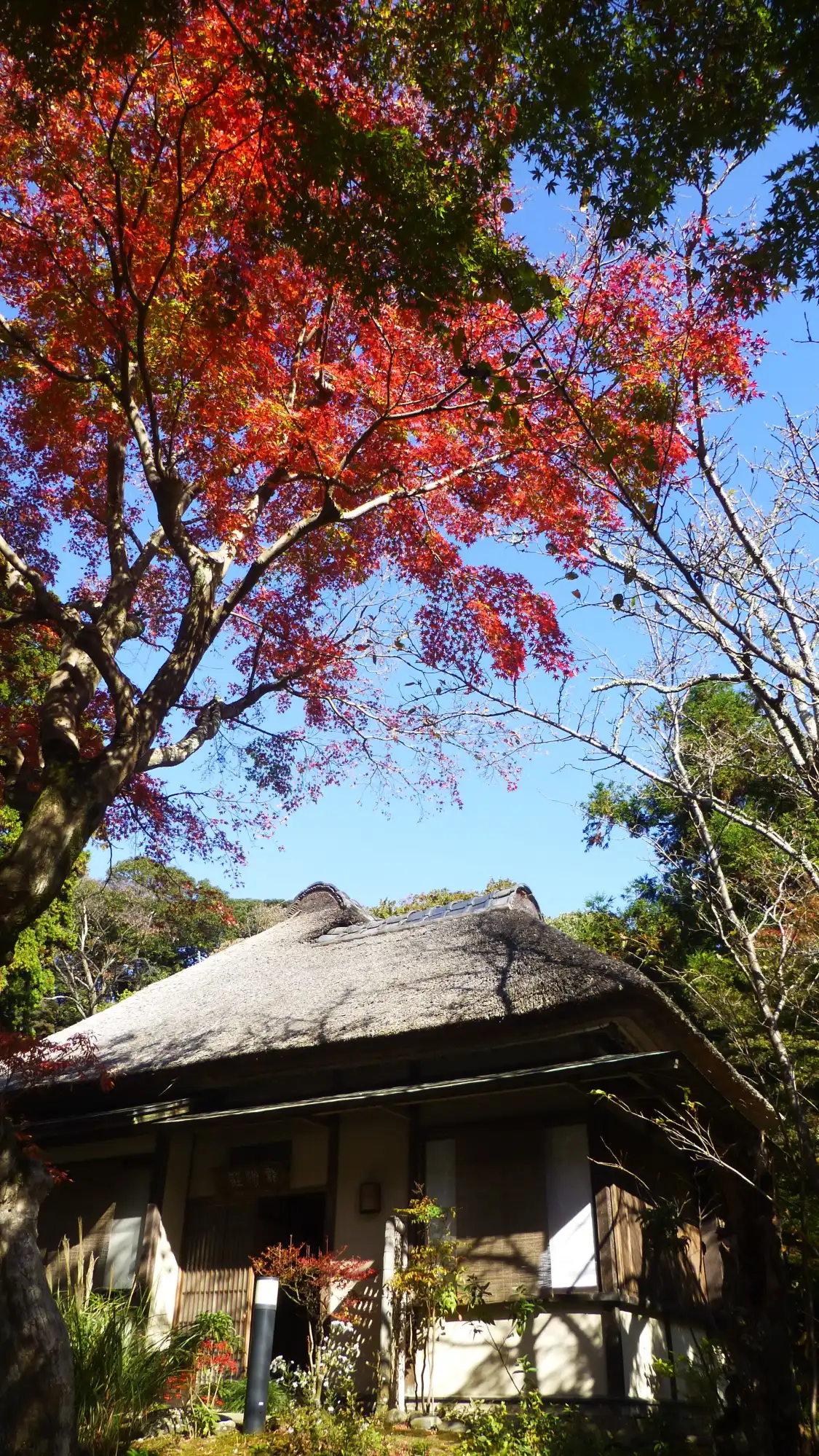 Hotel in zona Kinpozan Jochi-ji