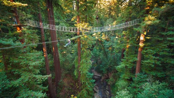 Mount Hermon Adventures