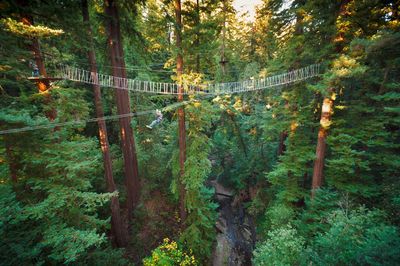 Mount Hermon Adventures